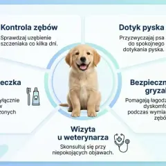 Uroczy szczeniak na grafice o pielęgnacji zębów. Unikaj kłapania zębami u psa, dbając o jego higienę.