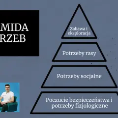 Piramida potrzeb psa: zabawa, potrzeby rasy, socjalne, bezpieczeństwo i fizjologiczne.