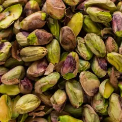 Mnóstwo łuskanych pistacji, zielonych i brązowych. Czy psy mogą jeść pistacje? Lepiej nie ryzykować.