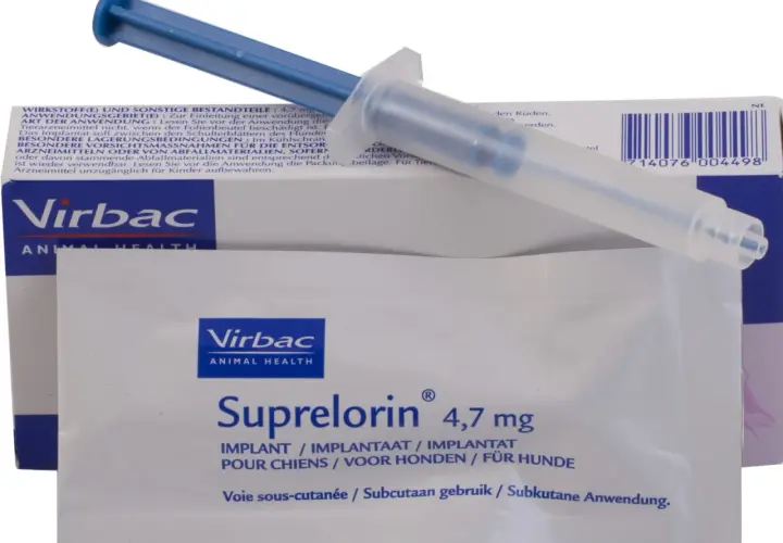 Zestaw do kastracja chemiczna psa: implant Suprelorin 4,7 mg i aplikator.