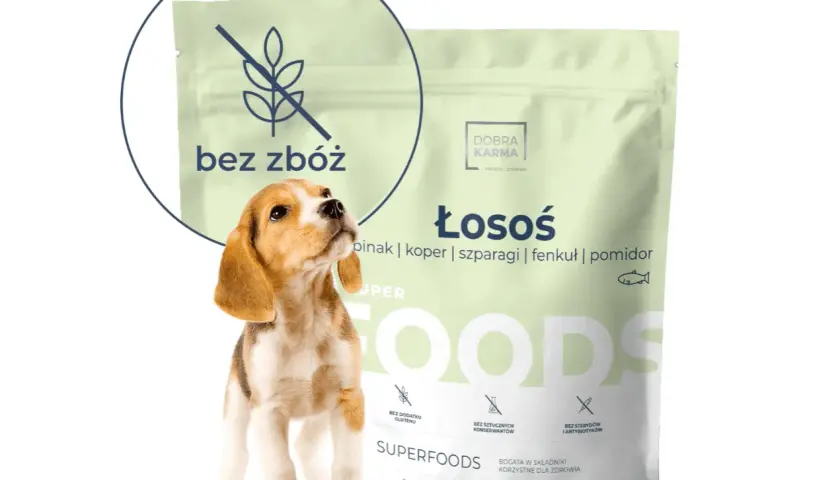 Szczeniak beagle obok opakowania karmy suchej dla małych ras "Dobra Karma" z łososiem, bez zbóż.