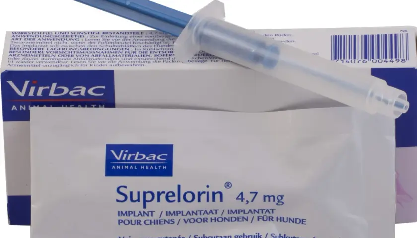 Zestaw do kastracja chemiczna psa: implant Suprelorin 4,7 mg i aplikator.