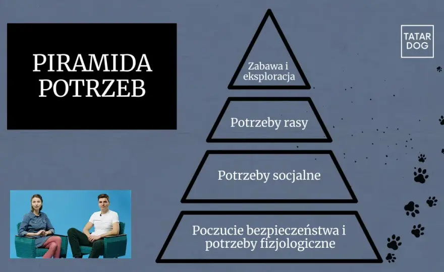 Piramida potrzeb psa - jak wspierać jego dobrostan i szkolenie?