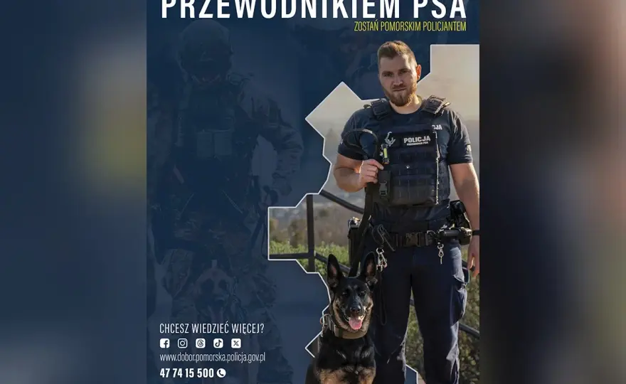Dobry przewodnik psa. Jak budować zaufanie i szkolić?