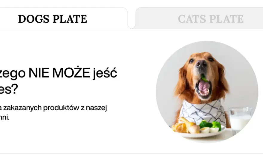 Czego pies nie może jeść? Lista toksycznych produktów i zasady bezpieczeństwa