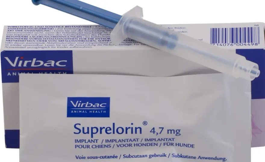 Kastracja chemiczna psa - jak działa implant hormonalny?