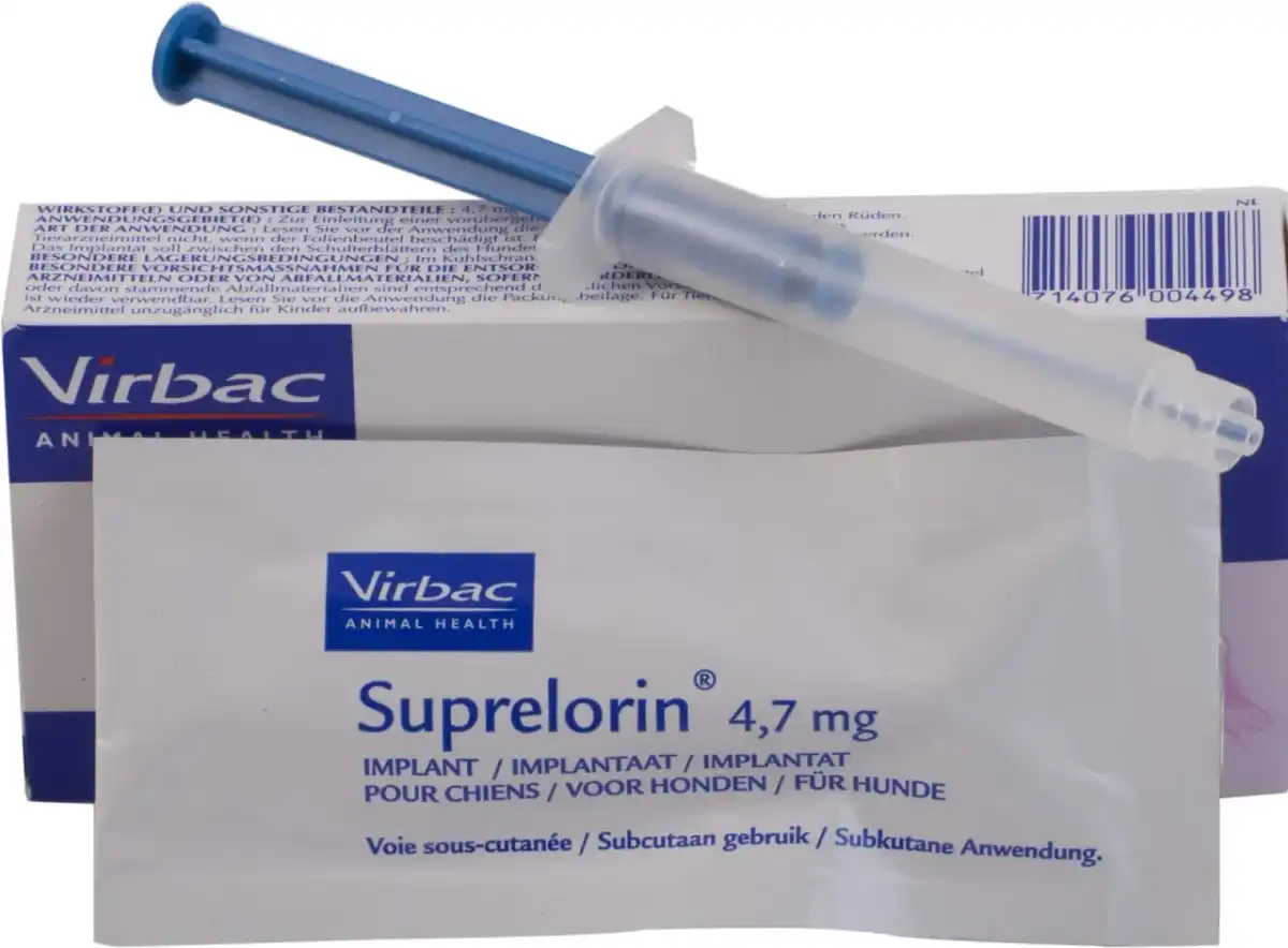 Kastracja chemiczna psa - jak działa implant hormonalny?