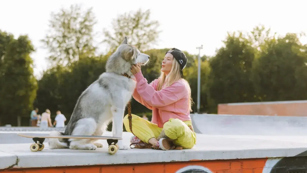 Dziewczyna z alaskan malamute na deskorolce w skateparku. Idealne miejsce, gdzie na spacer z psem Warszawa.