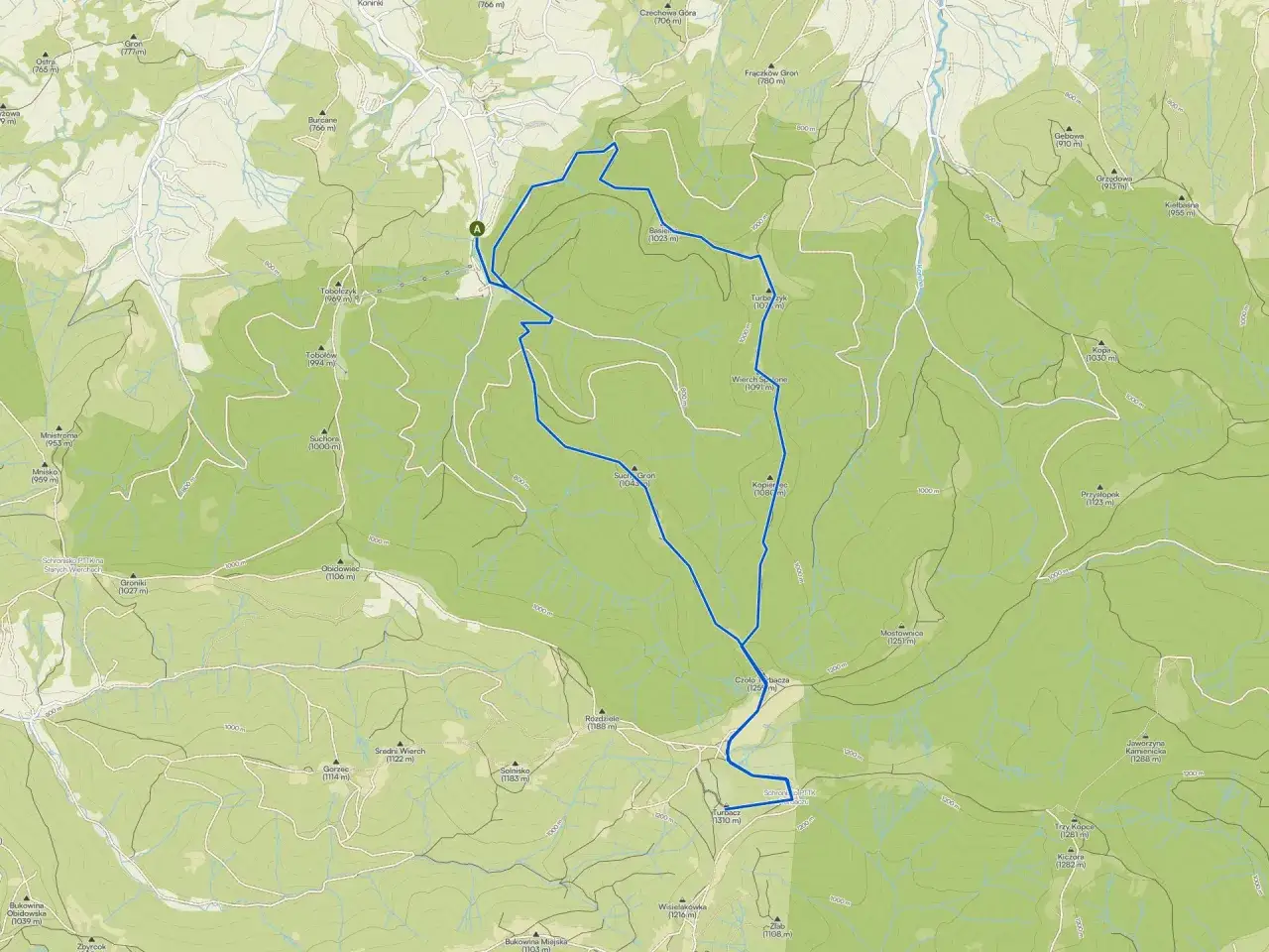 Mapa szlaku na Turbacz z psem. Trasa prowadzi przez malownicze tereny g&oacute;rskie, oznaczona niebieską linią.