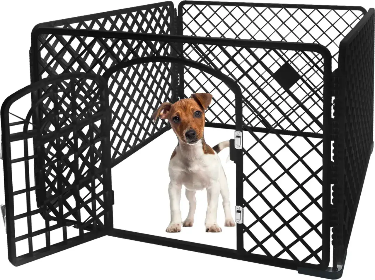 Mały piesek jack russell terrier wita w swoim bezpiecznym, czarnym parku dla psów.