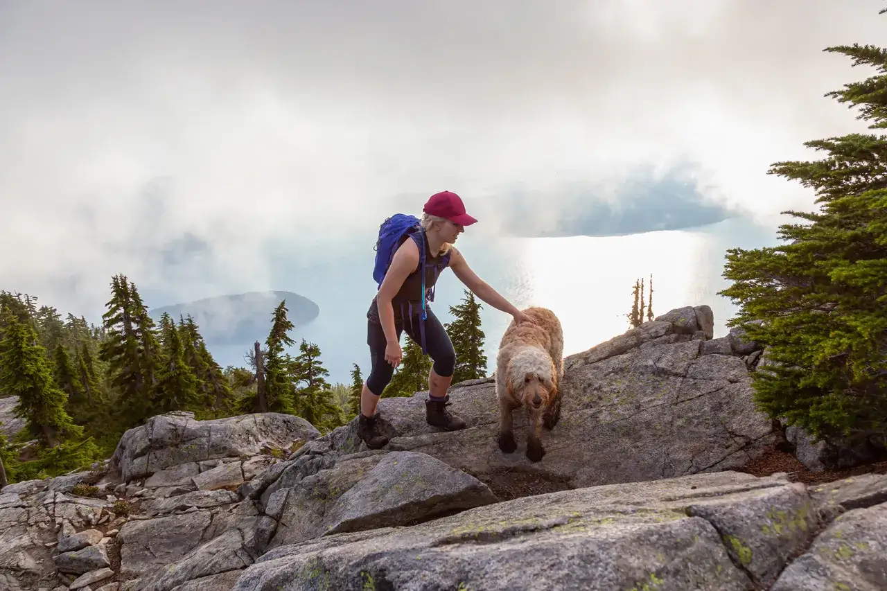 Kobieta z psem podczas dog trekking na skalistym szczycie, z widokiem na jezioro i góry w oddali.
